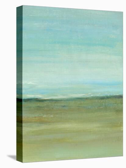 Terra Verde II-Tim OToole-Stretched Canvas