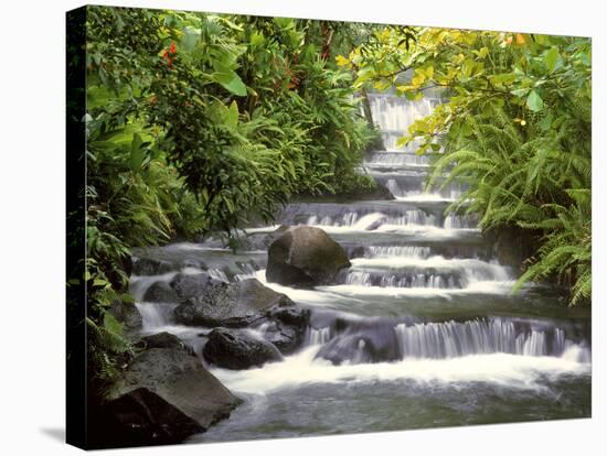 Terraced Falls-Monte Nagler-Premier Image Canvas