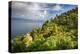 Terraced Hillside at the Coast, Portofino, Italy-George Oze-Premier Image Canvas