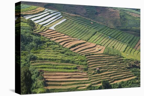 Terraces on Mountain Side, Sindoro-Sumbing Valley, Java, Indonesia-Keren Su-Premier Image Canvas