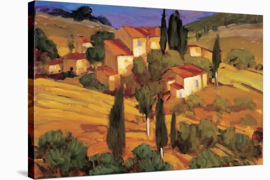 Terracotta Afternoon-Philip Craig-Stretched Canvas