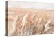 Terracotta Prairie Grasses-Danhui Nai-Stretched Canvas