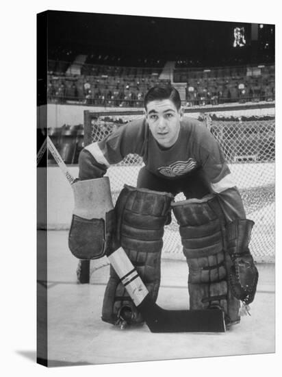 Terry Sawchuck, Star Goalie for the Detroit Red Wings, Posing in Front of Goal at Ice Arena-Alfred Eisenstaedt-Premier Image Canvas