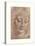 Testa Di Giovinetta-Leonardo Da Vinci-Stretched Canvas