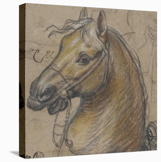 Tête de cheval-Charles Le Brun-Premier Image Canvas
