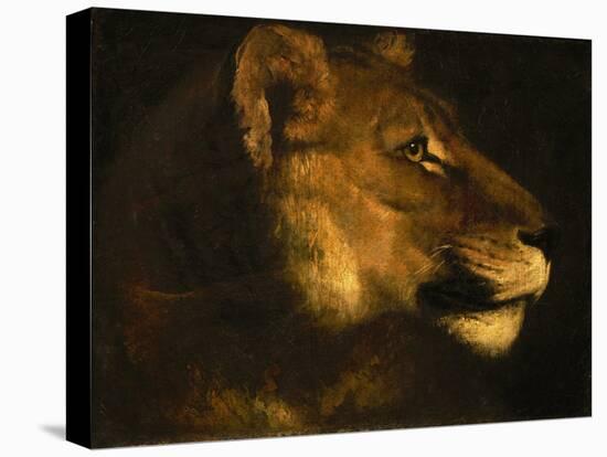 Tete de lionne. Head of a lioness-Theodore Gericault-Premier Image Canvas