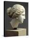Tête féminine : tête de l'Aphrodite de Cnide, dite " Tête Kaufmann "-null-Premier Image Canvas