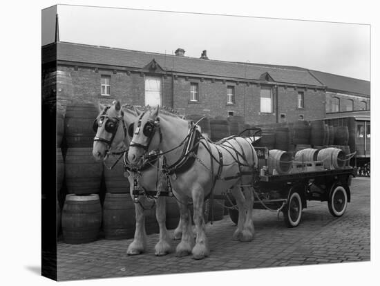 Tetley Shire Horses and Dray, Joshua Tetley Brewery, Leeds, West Yorkshire, 1966-Michael Walters-Premier Image Canvas