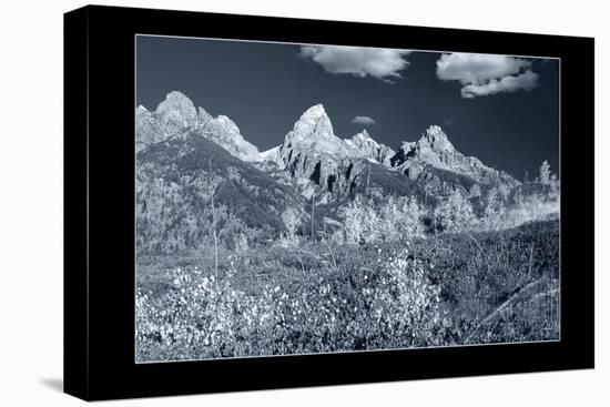 Teton 3 W/Border-Gordon Semmens-Premier Image Canvas