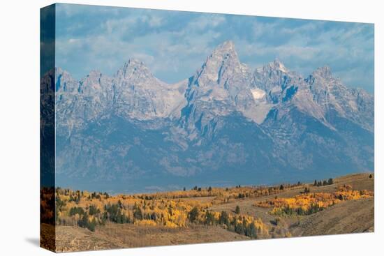 Teton Range seen from Wedding Tree overlook, Wyoming-Alan Majchrowicz-Premier Image Canvas