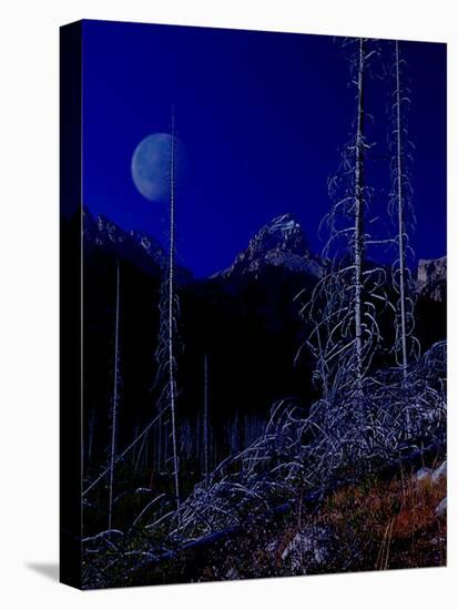 Teton-Gordon Semmens-Premier Image Canvas