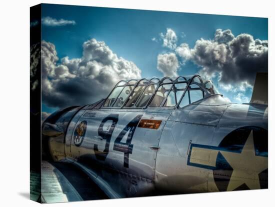 Texan-Stephen Arens-Premier Image Canvas