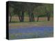 Texas Blue Bonnets and Oak Trees, Nixon, Texas, USA-Darrell Gulin-Premier Image Canvas