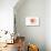 Texas - Compass - Coral - Coastal Icon-Lantern Press-Stretched Canvas displayed on a wall