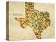 Texas County Map-David Bowman-Premier Image Canvas