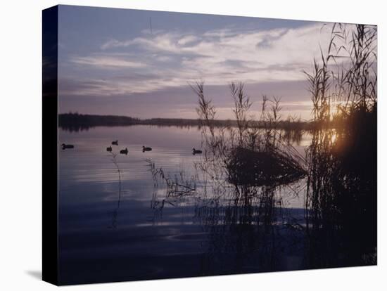 Texas Duck Hunting-Dmitri Kessel-Premier Image Canvas