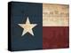 Texas Flag-Jace Grey-Stretched Canvas