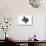 Texas - Home State - Gray on White-Lantern Press-Stretched Canvas displayed on a wall