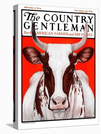 "Texas Longhorn," Country Gentleman Cover, February 9, 1924-Charles Bull-Premier Image Canvas