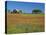 Texas Paintbrush Flowers and Red Barn in Field, Texas Hill Country, Texas, USA-Adam Jones-Premier Image Canvas