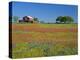 Texas Paintbrush Flowers and Red Barn in Field, Texas Hill Country, Texas, USA-Adam Jones-Premier Image Canvas