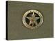 Texas Rangers Badge (Metal)-American-Premier Image Canvas