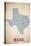 Texas-American Flat-Premier Image Canvas