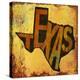 Texas-Art Licensing Studio-Premier Image Canvas