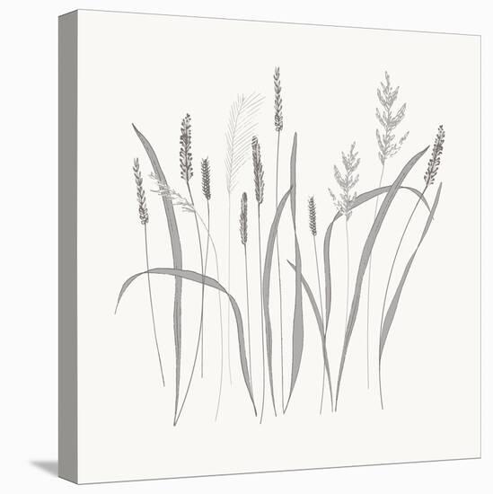Textured Calm Wild Grasses-Sweet Melody Designs-Stretched Canvas