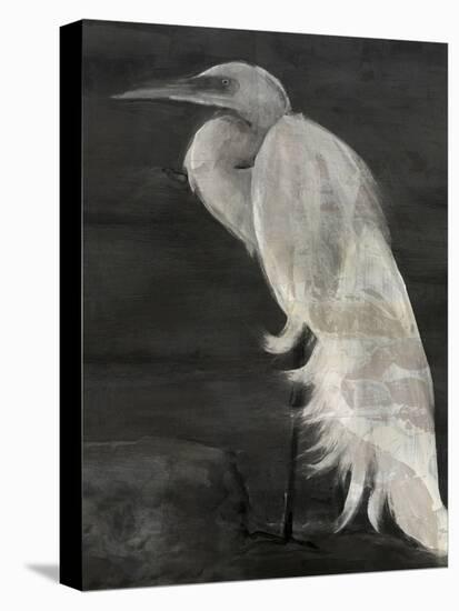 Textured Egret I-Stellar Design Studio-Stretched Canvas