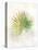 Textured Fan Palm-Ken Roko-Stretched Canvas