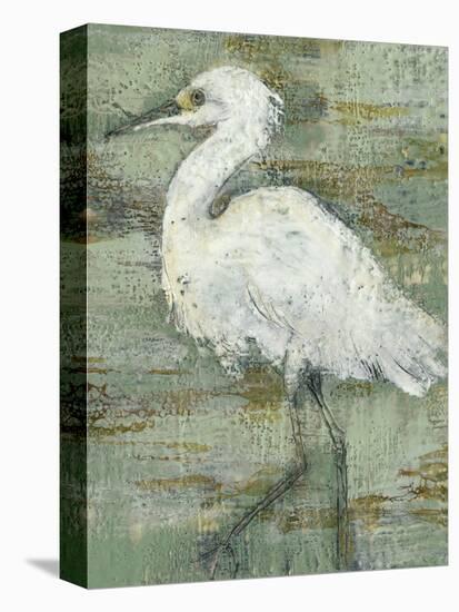 Textured Heron I-Jennifer Goldberger-Stretched Canvas