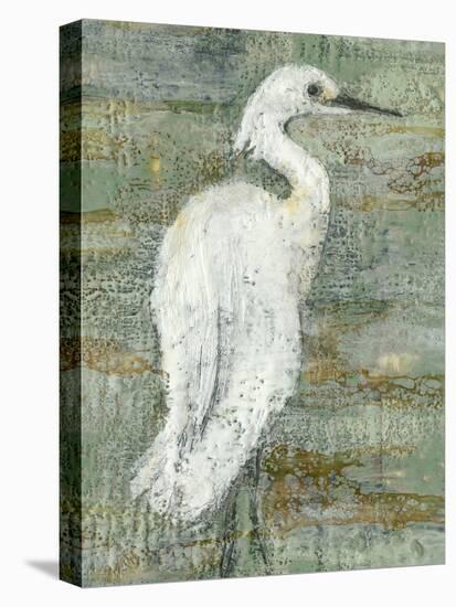 Textured Heron II-Jennifer Goldberger-Stretched Canvas