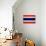 Thailand Flag Design with Wood Patterning - Flags of the World Series-Philippe Hugonnard-Stretched Canvas displayed on a wall