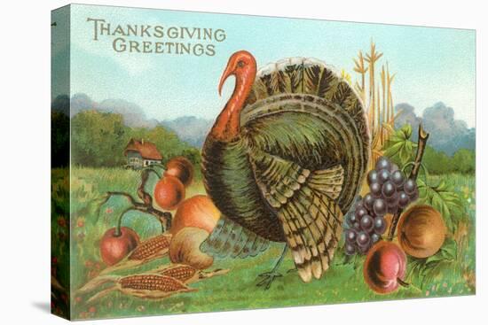 Thanksgiving Greetings, Turkey with Fruits-null-Stretched Canvas
