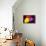 That's My Desire-Philippe Sainte-Laudy-Premier Image Canvas displayed on a wall