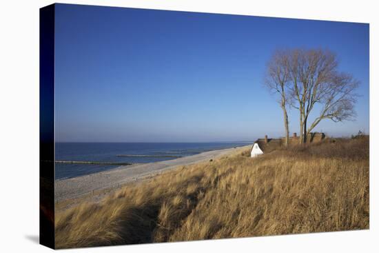 Thatched Beach House under the Big Poplars in Ahrenshoop-Uwe Steffens-Premier Image Canvas