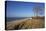 Thatched Beach House under the Big Poplars in Ahrenshoop-Uwe Steffens-Premier Image Canvas