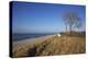 Thatched Beach House under the Big Poplars in Ahrenshoop-Uwe Steffens-Premier Image Canvas