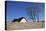 Thatched Beach House under the Big Poplars in Ahrenshoop-Uwe Steffens-Premier Image Canvas