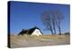 Thatched Beach House under the Big Poplars in Ahrenshoop-Uwe Steffens-Premier Image Canvas