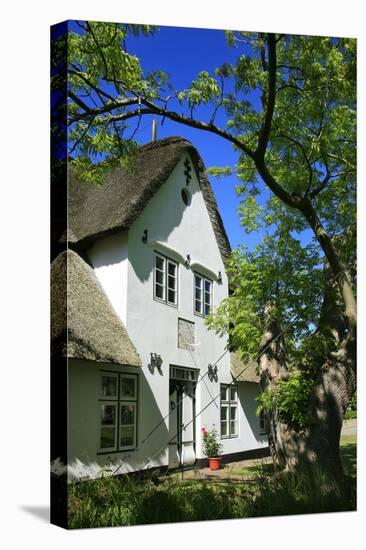 Thatched Captain's House under an Old Ash on the Corner 'Kastanienweg' (Street-Uwe Steffens-Premier Image Canvas