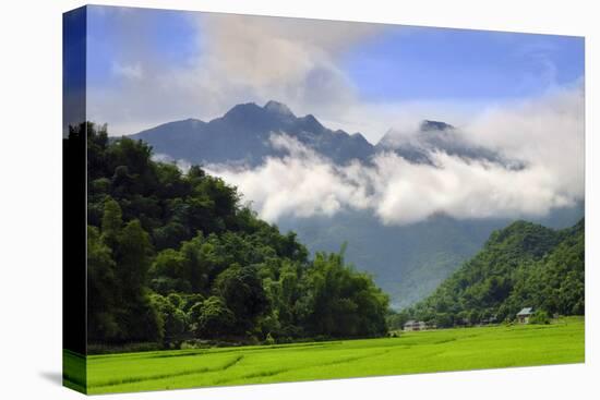 Thatched cottages and rice paddy fields with misty mountains behind, Mai Chau, Vietnam, Indochina,-Alex Robinson-Premier Image Canvas