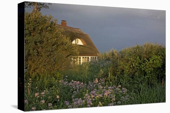 Thatched-Roof House in the Middle of Lush Green and Blossoms in the First Sunlight-Uwe Steffens-Premier Image Canvas
