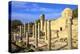 The 12th century Stone Church of Agia Kyriaki, Paphos, Cyprus, Eastern Mediterranean, Europe-Neil Farrin-Premier Image Canvas