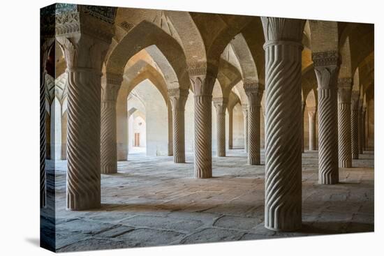 The 48 carved column prayer hall, Masjed-e Vakil (Regent's Mosque), Shiraz, Iran, Middle East-James Strachan-Premier Image Canvas