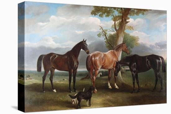 The 6th Duke's Favourite Hunters and Dogs, 1857-John E. Ferneley-Premier Image Canvas