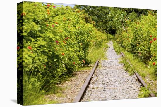 The Abandoned Railroad-david734244-Premier Image Canvas