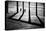 The Add Dimension-Paulo Abrantes-Premier Image Canvas