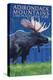 The Adirondacks - Lake Placid, New York State - Moose at Night-Lantern Press-Stretched Canvas
